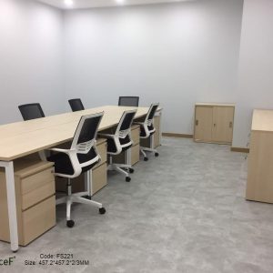 sàn vinyl bê tông fs221