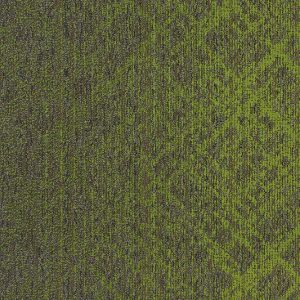 Dán Thảm Văn Phòng