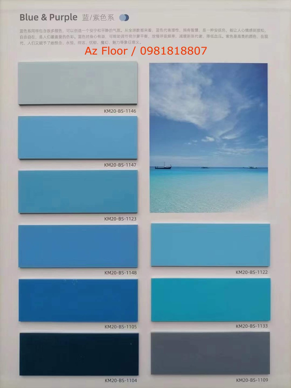 Sàn vinyl cuộn đơn sắc Azfloor màu sắc xanh blue