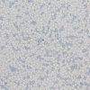 sàn tĩnh điện esd 611
